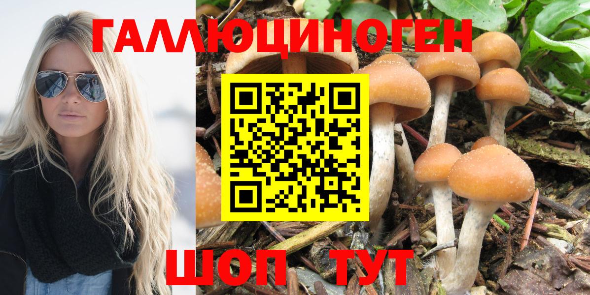 Псилоцибиновые грибы Magic Shrooms Десногорск