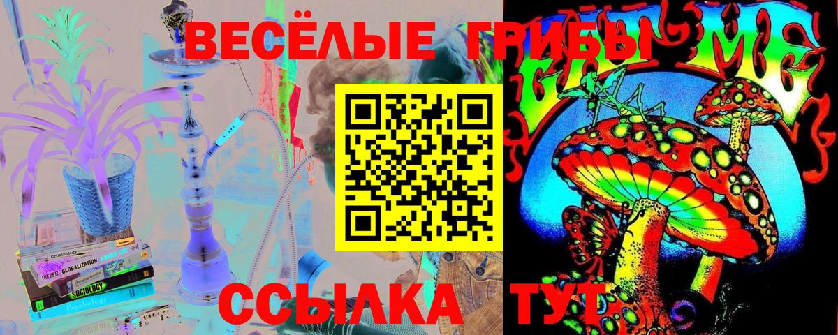 Десногорск  купить наркотик  Вход с VPN  Псилоцибиновые грибы Psilocybe 